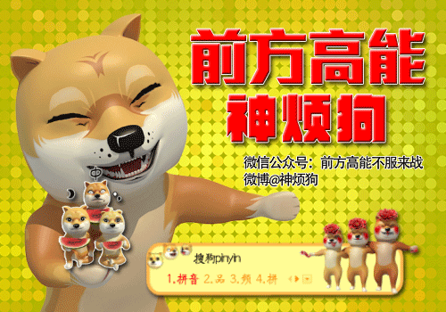 前方高能之神烦狗